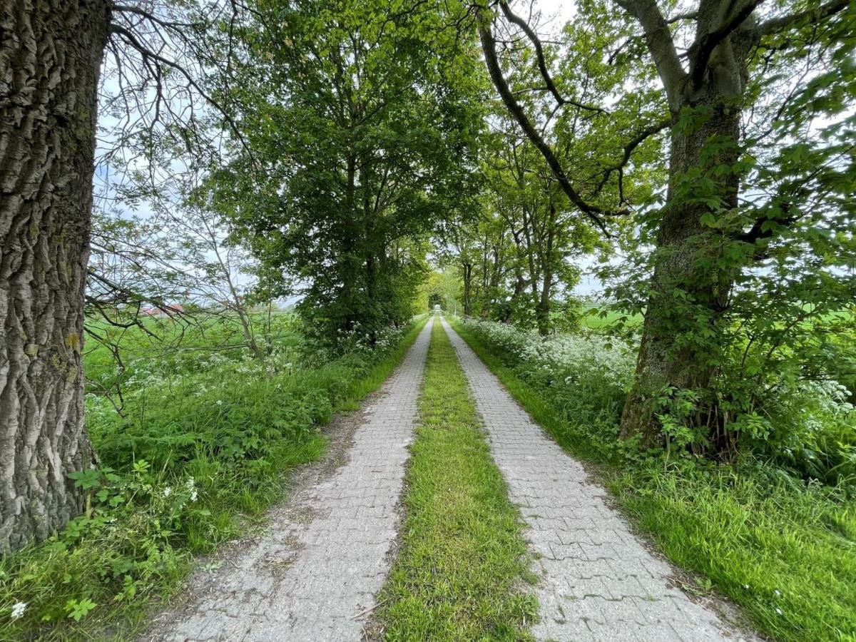 Mooi Stuv , Maisonettenwohnung , Gulfhof , Kachelofen Norden Eksteriør bilde